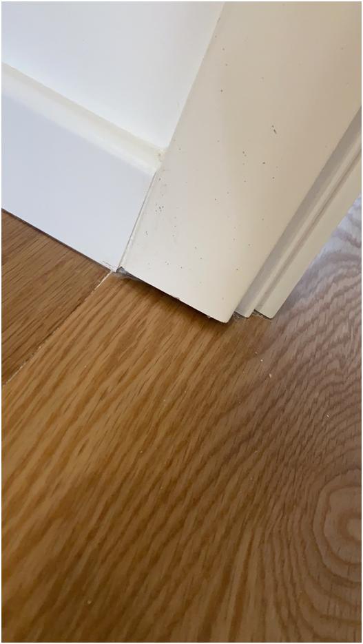 我的百条装修深坑奔腾记