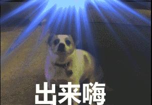 除了抖腿，武汉人还能怎样度过寒冬？