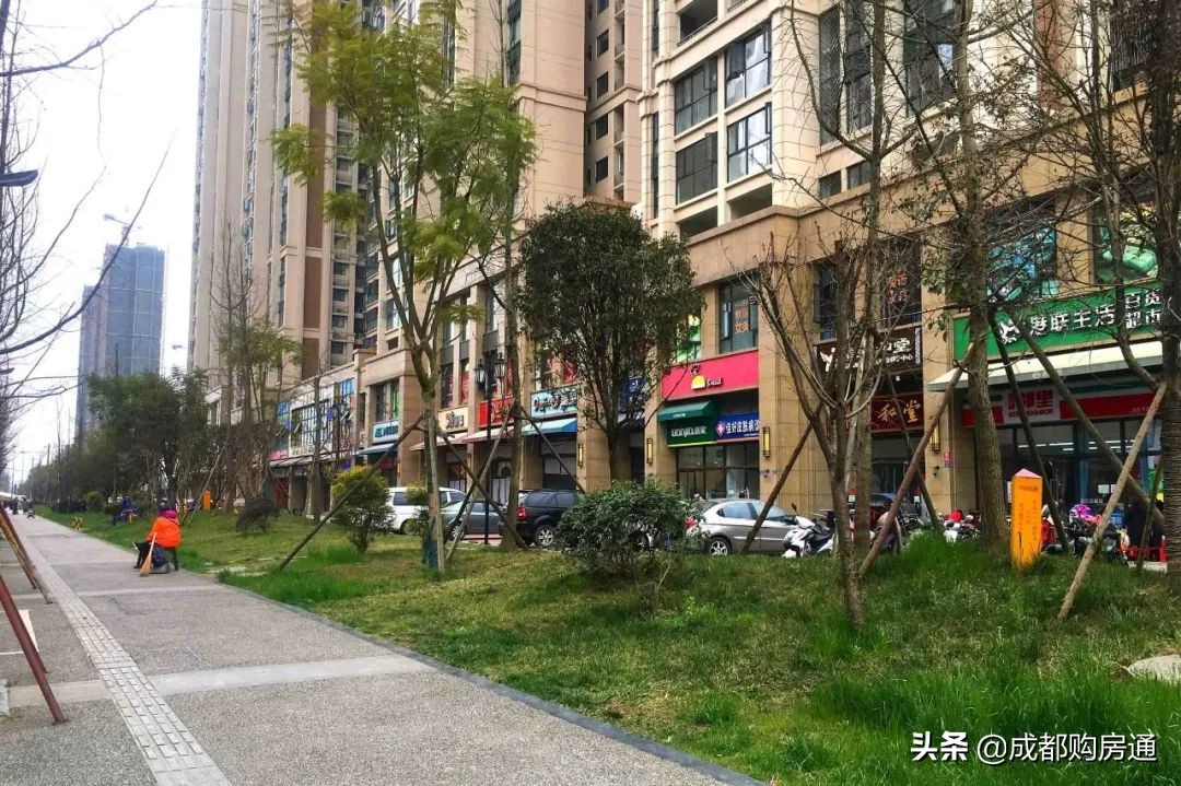 从500人报名到中签率15.15%，南湖旁低调大盘为何越来越“香”？