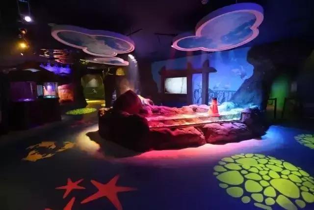 上海长风海洋世界五一,99元即可畅玩上海海昌海洋公园