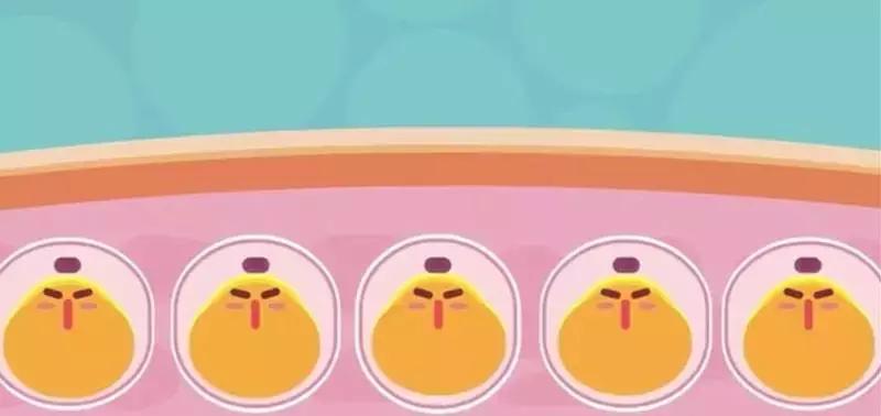 减肥值得交智商税吗,所有减肥产品都是智商税