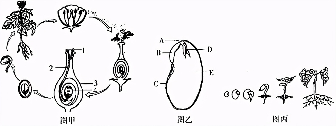 临沂2022生物会考答案,罗庄区生物一模试卷