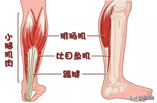 孕妇缺钙腿抽筋怎么缓解,孕妇缺钙腿抽筋会导致腿变形