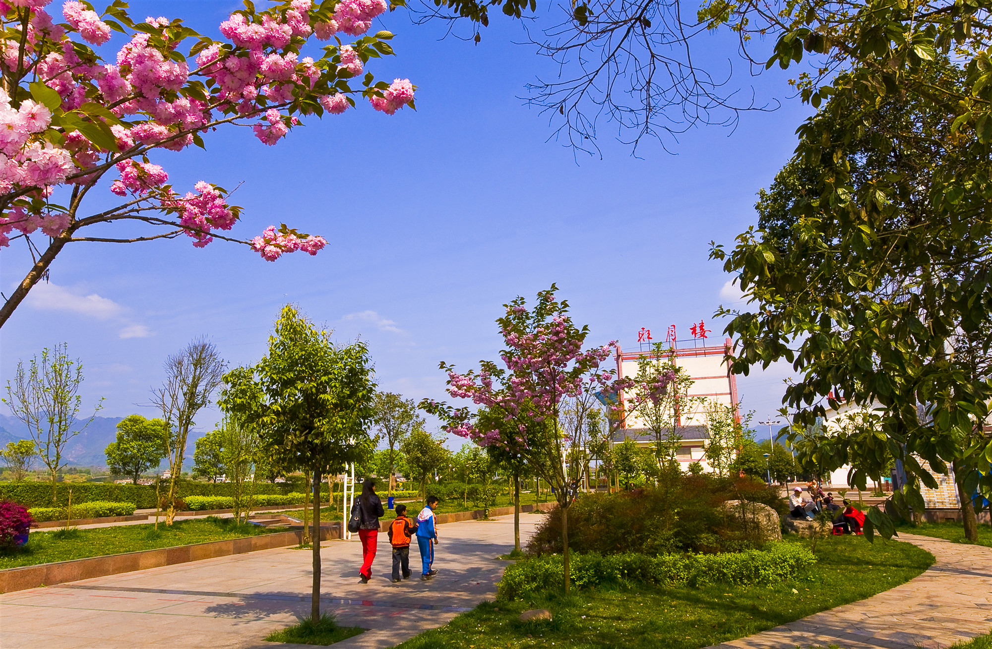 如果你累了就来这座小城吧,如果你累了就来云南吧完整版