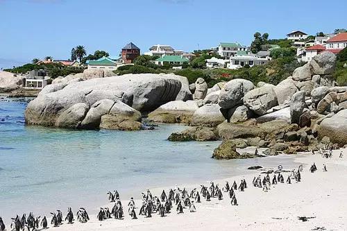 澳大利亚十大景点视频,澳大利亚十大景点介绍英文版