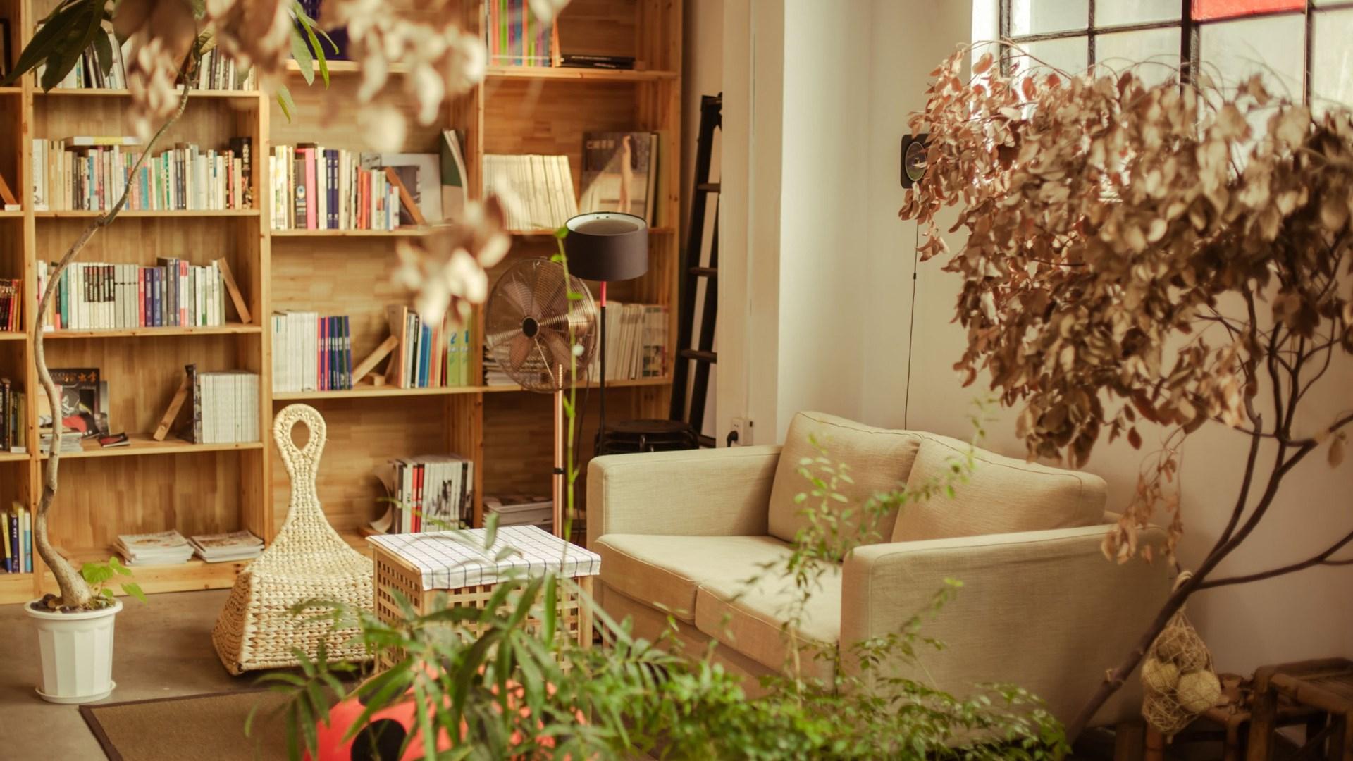 选对夏日室内香薰，把满满幸福感装进家