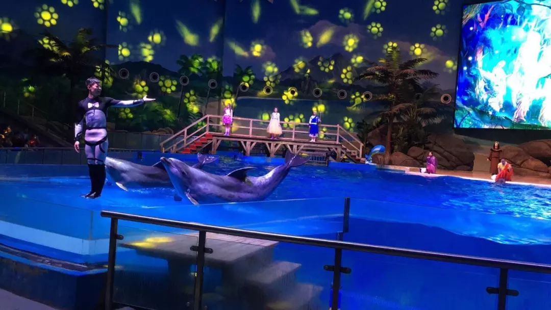 国内最好玩的十大主题乐园,十大主题乐园随心玩