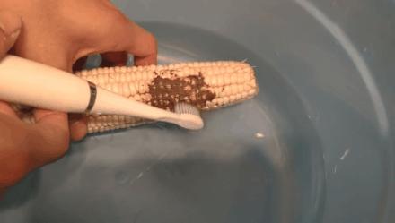 牙黄最有效变白方法,女性牙黄最有效的方法