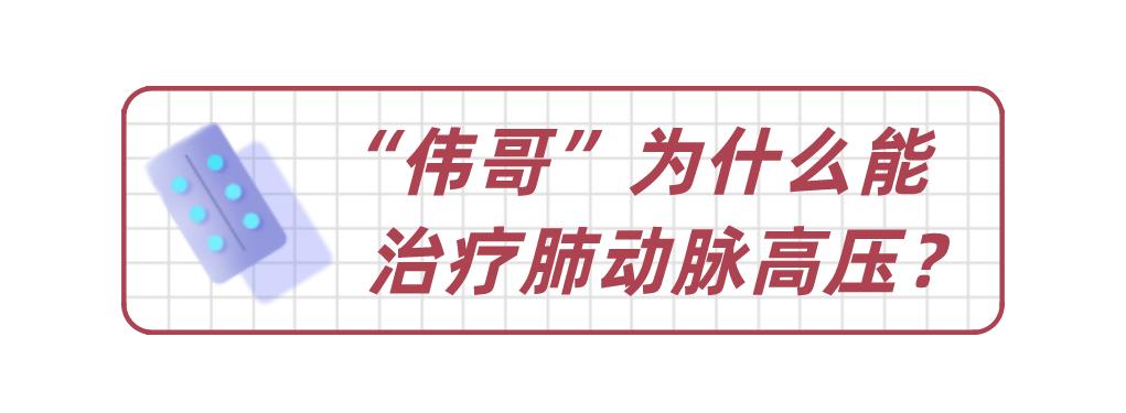 伟哥有治疗阳痿的功效吗,伟哥真的有治疗阳痿作用吗
