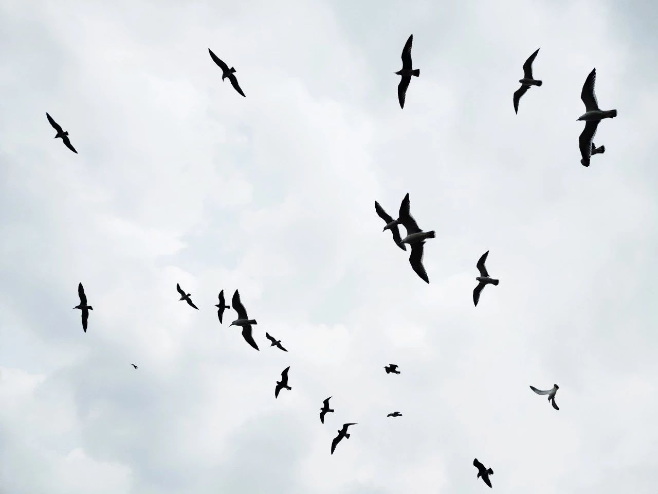 2019鐨勬硶瀹氬亣鏈熼兘杩囧畬浜嗗悧,2021骞存硶瀹氬亣鏈熸病浼戝畬鑳藉欢鏈熷悧