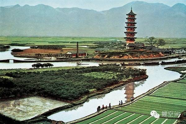 140年前的温州原来长这样！家乡的前世今生.