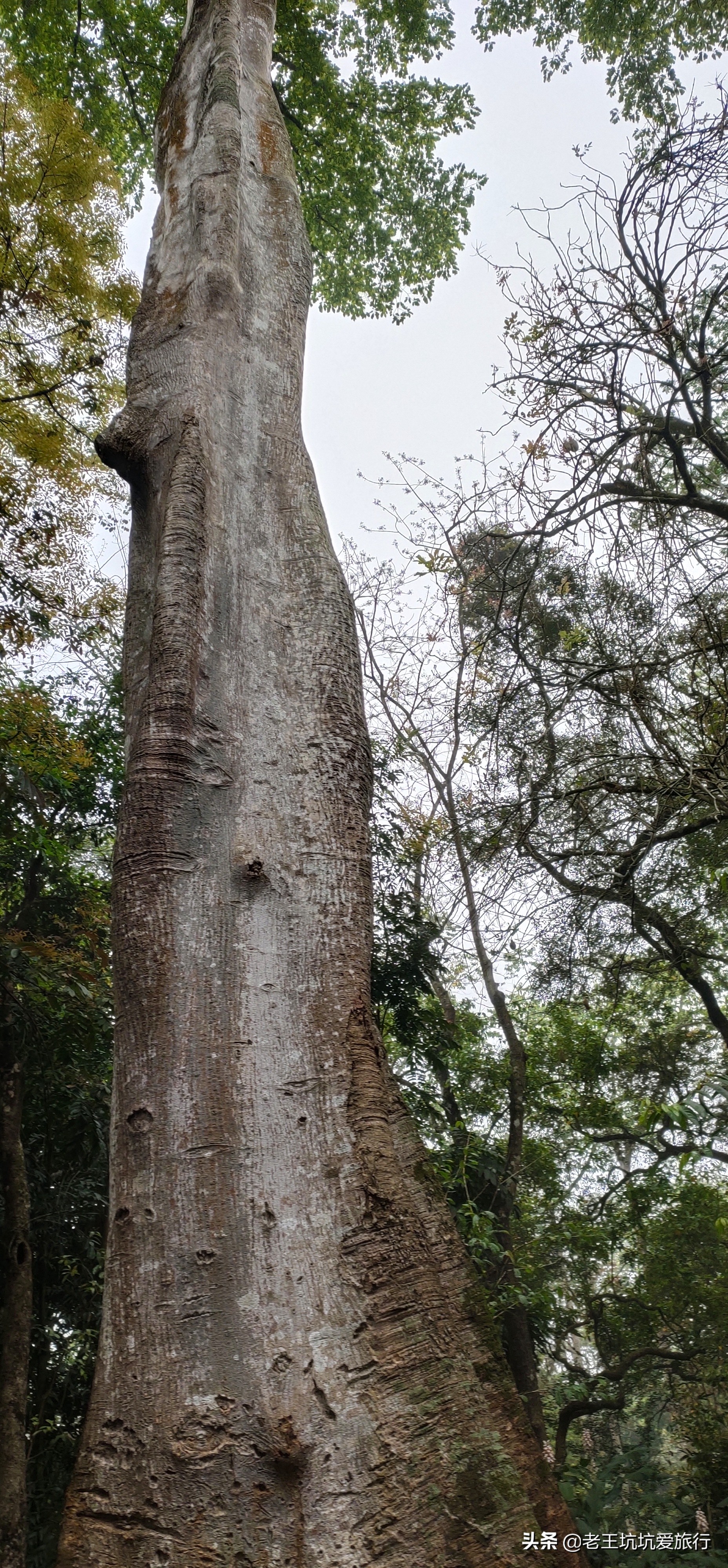 自驾无锡到三亚自驾游,无锡自驾海南三亚