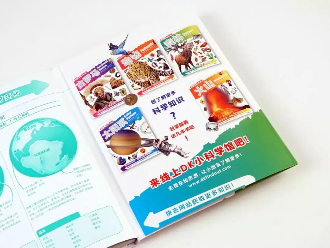儿童dk哪些书籍值得买,dk儿童书籍推荐
