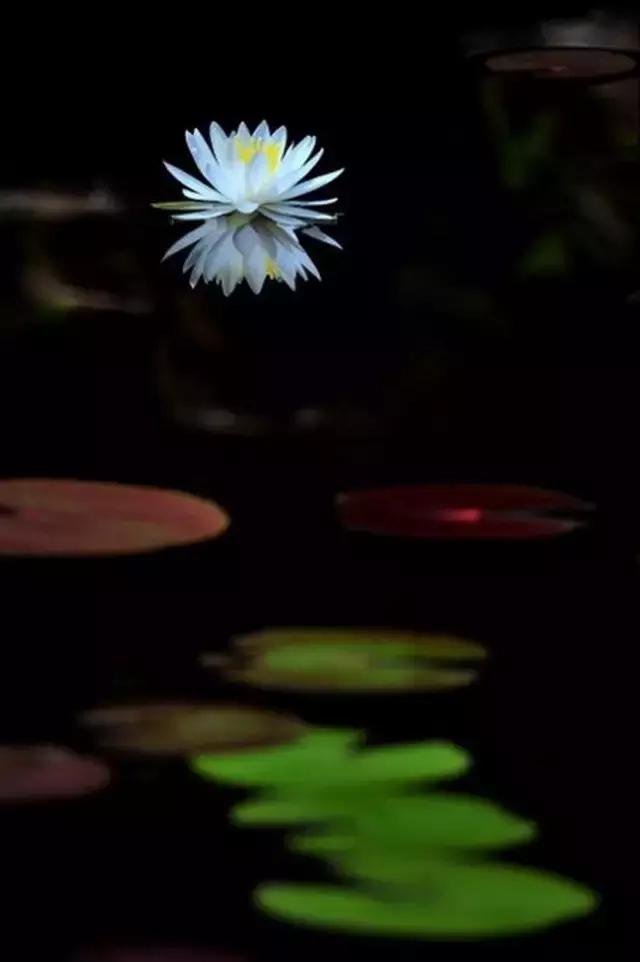 人生不过一字,人生不过一个字精辟