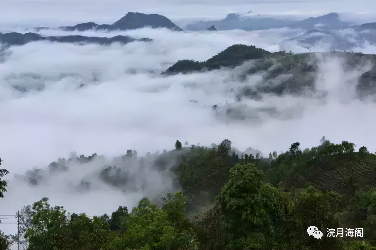 六大茶山是哪六个,六大茶山为什么茶那么好