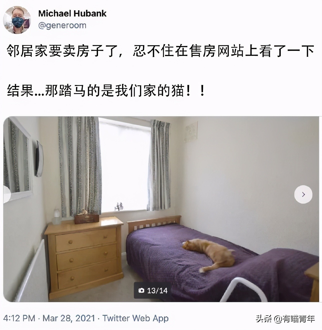 俄罗斯猫敢惹吗,俄罗斯猫有多凶猛
