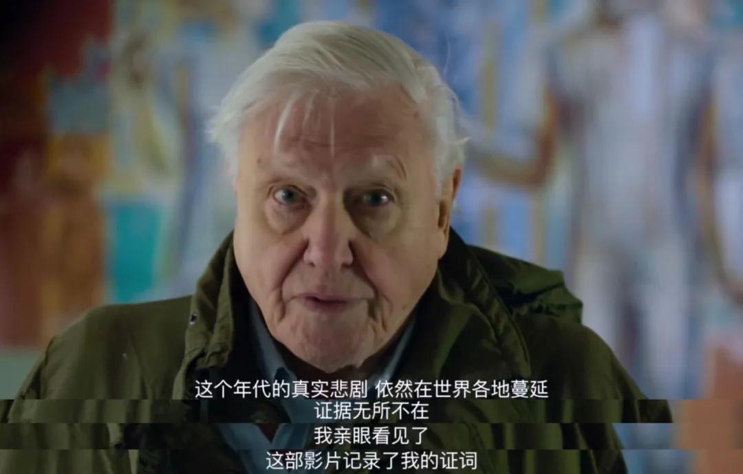 豆瓣2.5分神作,豆瓣9.5分的神作不该如此小众