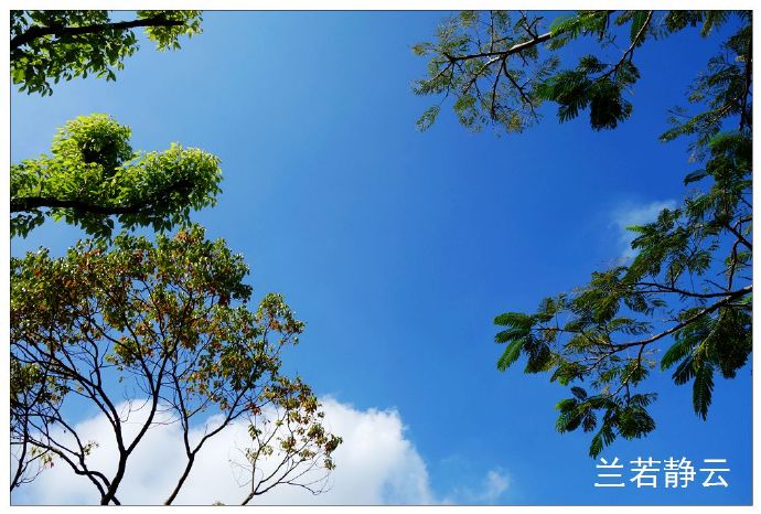 厦门国家会计学院校园,厦门国家会计学院漂亮吗