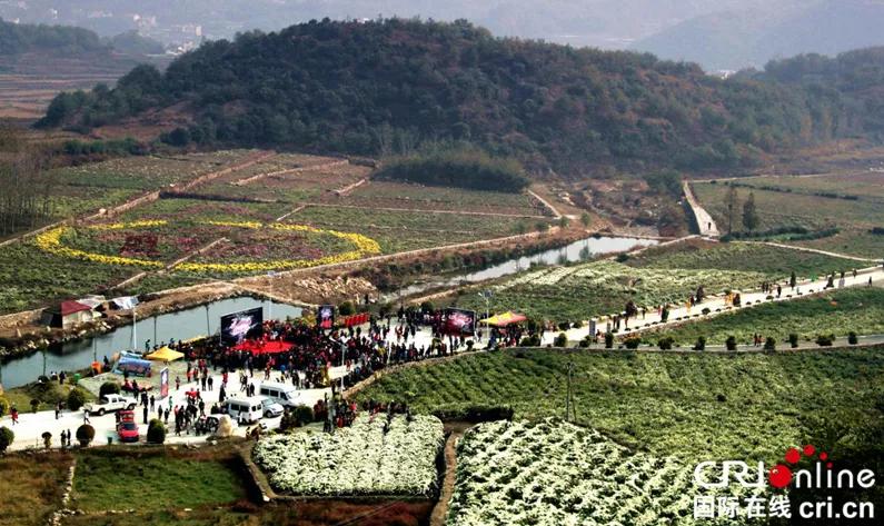 麻城网红村,麻城最穷的三个镇夫子河