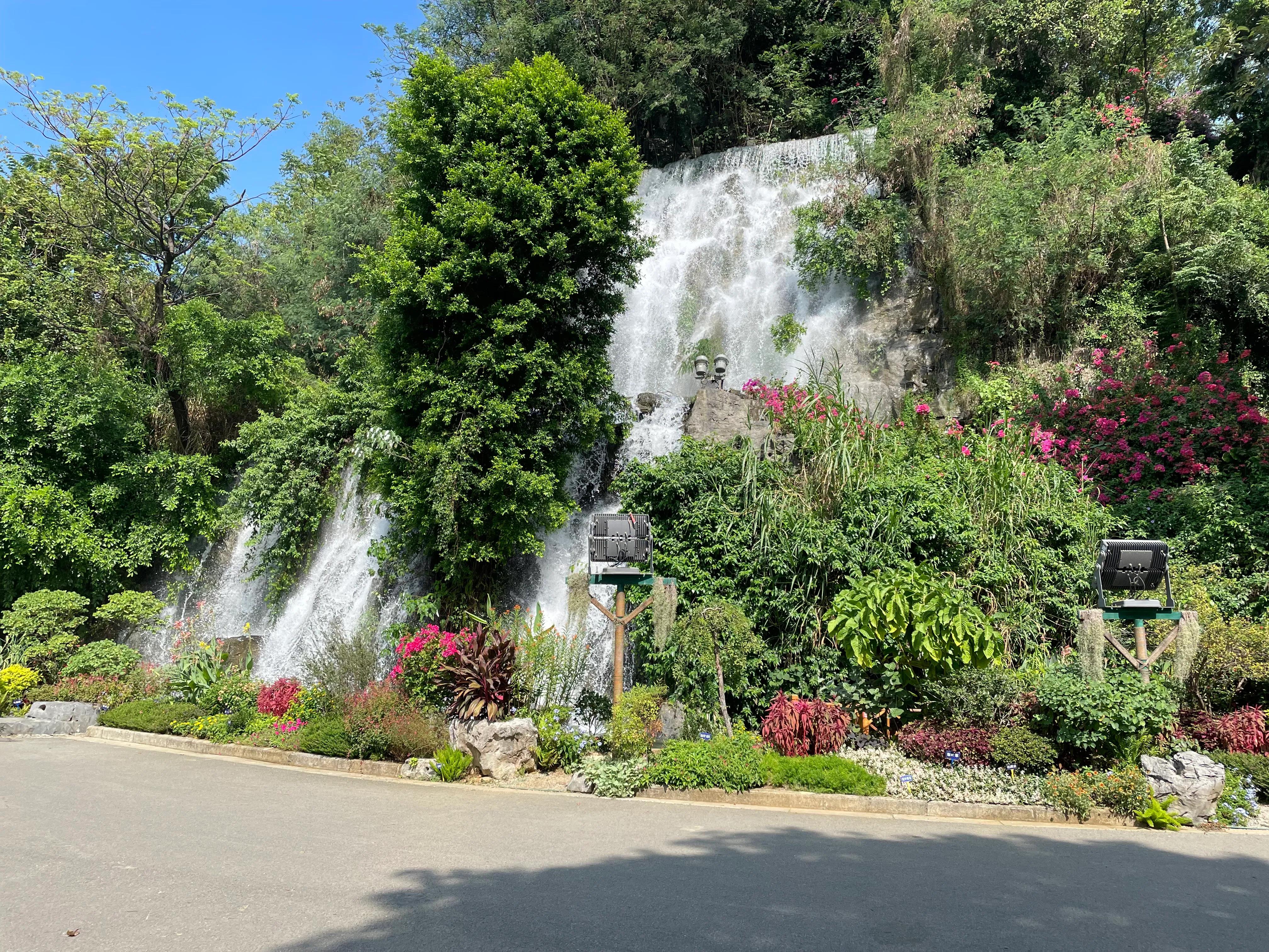 柳州只投螺碗螺蛳粉,再来一碗柳州螺蛳粉