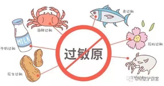 猫咪做了过敏原检测脱敏需要多久,猫咪容易过敏吃什么猫粮