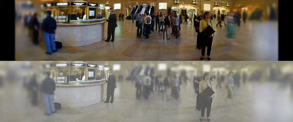 关于猫咪耳朵的6个有趣小秘密,关于猫咪眼睛的5个小秘密