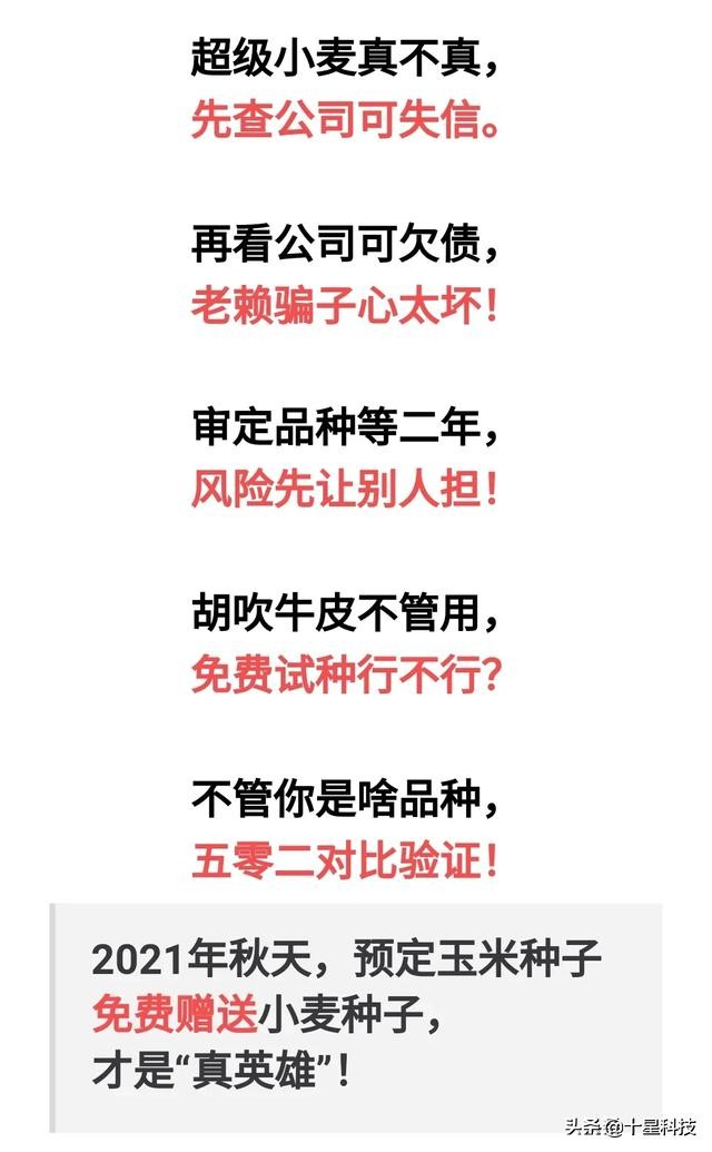 赠送种子助农增收活动,免费送稻种带动350户春耕