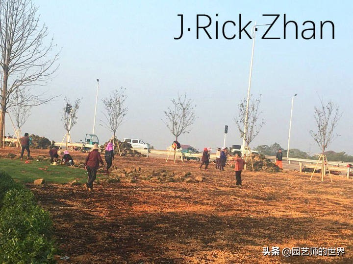 果岭草坪的种植养护方法及技巧,怎么种植一个可以躺的草坪