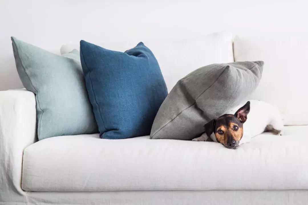 沙发是家里用的最好的软装,沙发是家里最温暖的角落