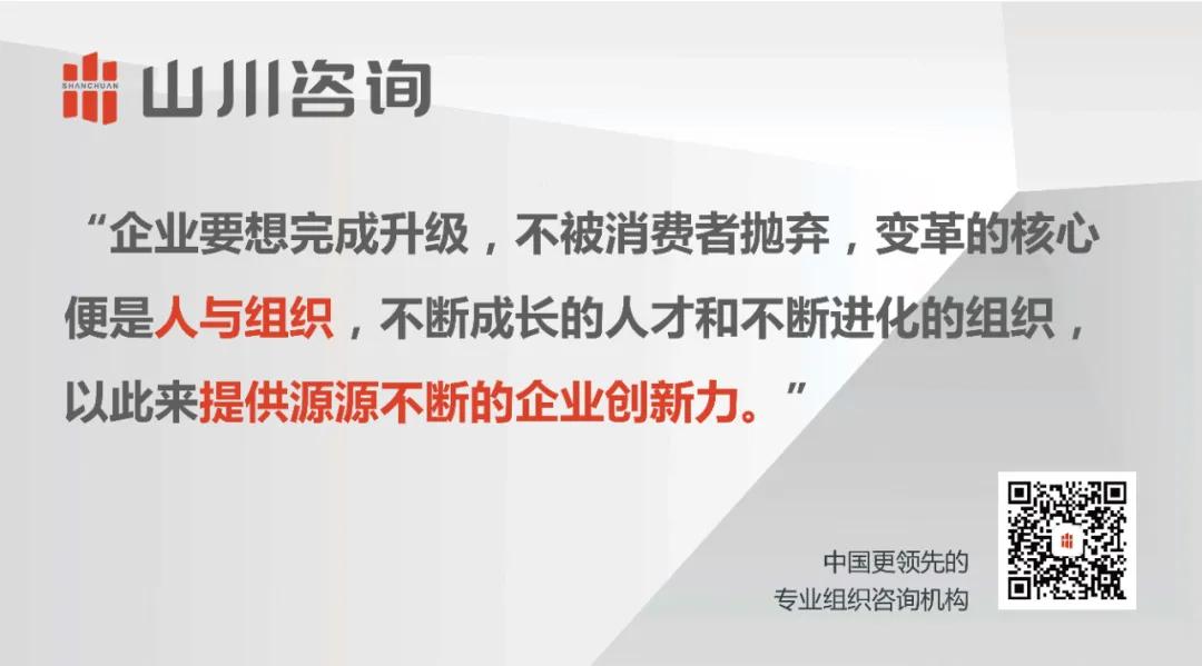 山川咨询企业管理有限公司,山川咨询公司简介