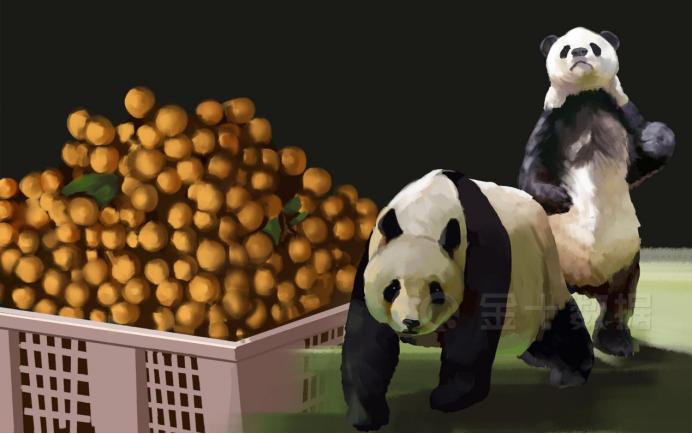 2020年我国进口越南荔枝多少,越南荔枝2019年出口中国