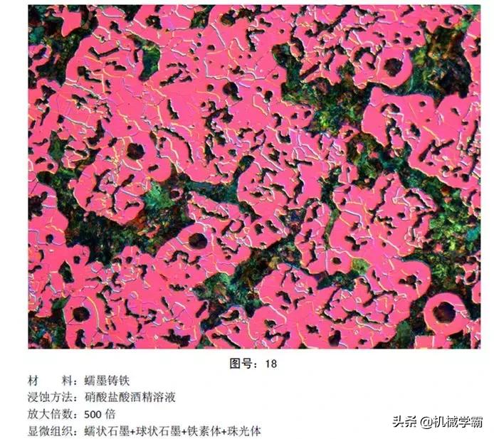 马氏体、奥氏体、珠光体，20种材料彩色金相，带你轻松识别
