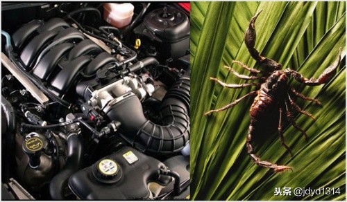 汽车经典发动机推荐,各种车型发动机都很齐全