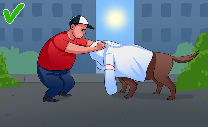 如果被流浪狗咬了怎么办,如果在路上遇见流浪狗怎么处理