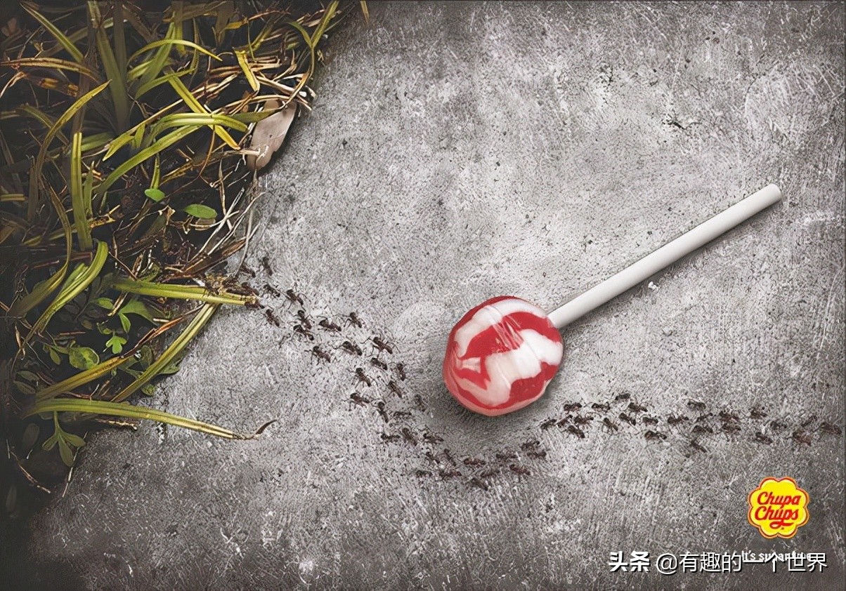 如果广告都拍成这样谁还看连续剧,假如广告都能这样拍