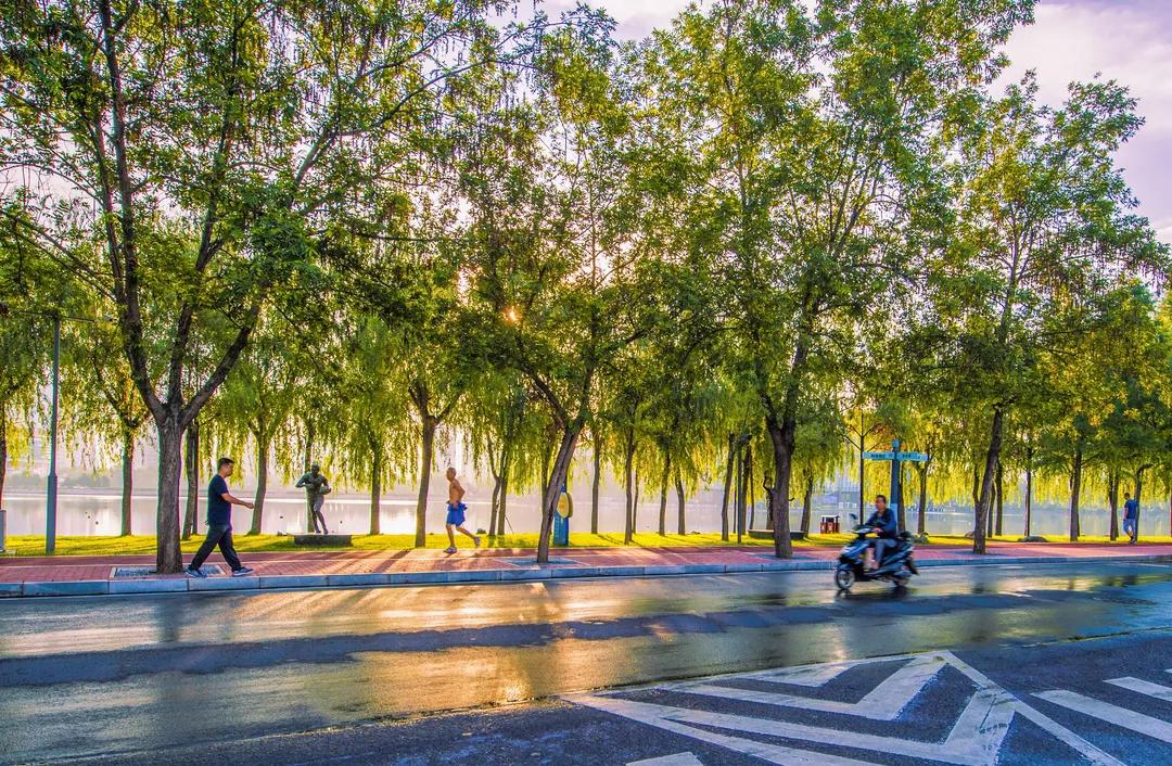 洛阳有收藏玉器的地方吗,洛龙区游玩收藏榜