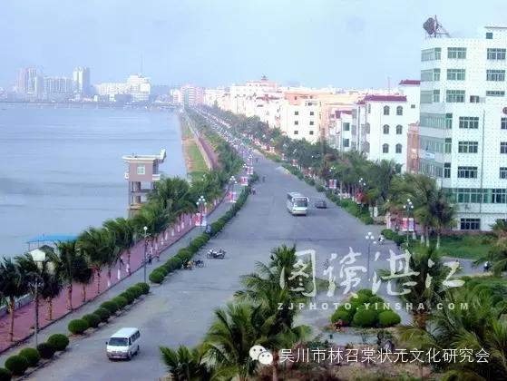 林济仁,林济仁对吴川赋的评价