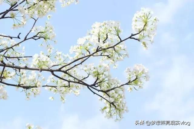 如此才华横溢的打油诗,如此才华横溢