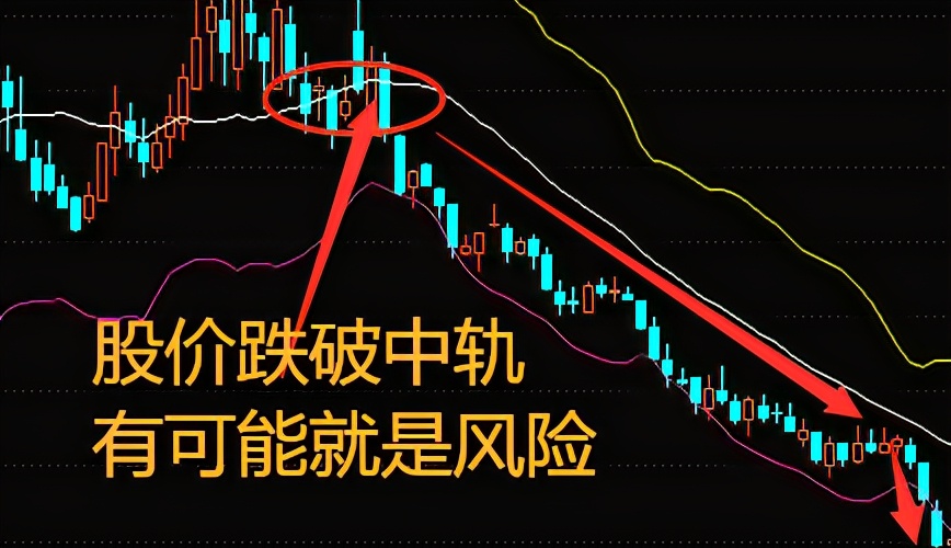 周末微学堂三伏天,周六股市基础理论学习