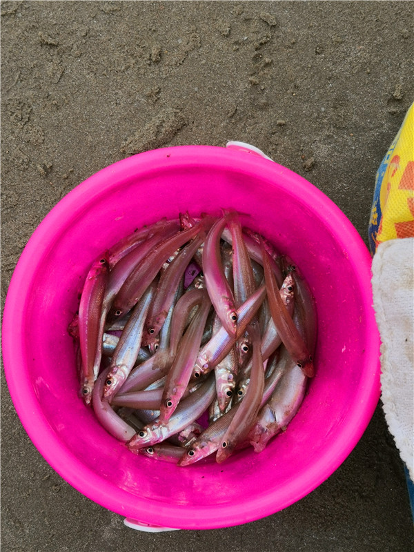 海南兰海美丽新海岸,海南8月风景