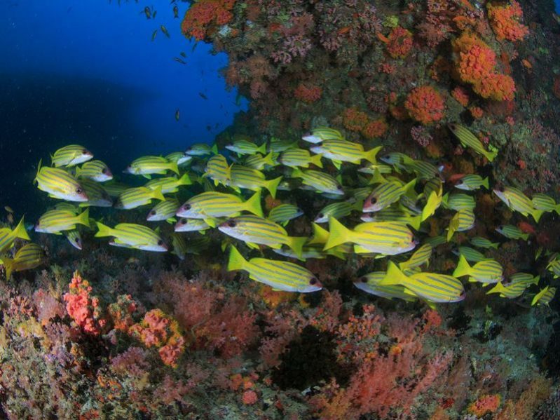 马尔代夫奥臻岛旅游攻略,美丽的马尔代夫吉哈岛