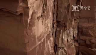 人体的奥秘与疾病,人体不知道的奥秘