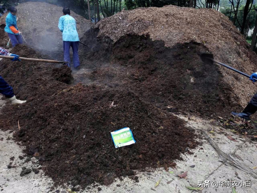 农村修剪的树枝再利用,果树变废为宝的方法