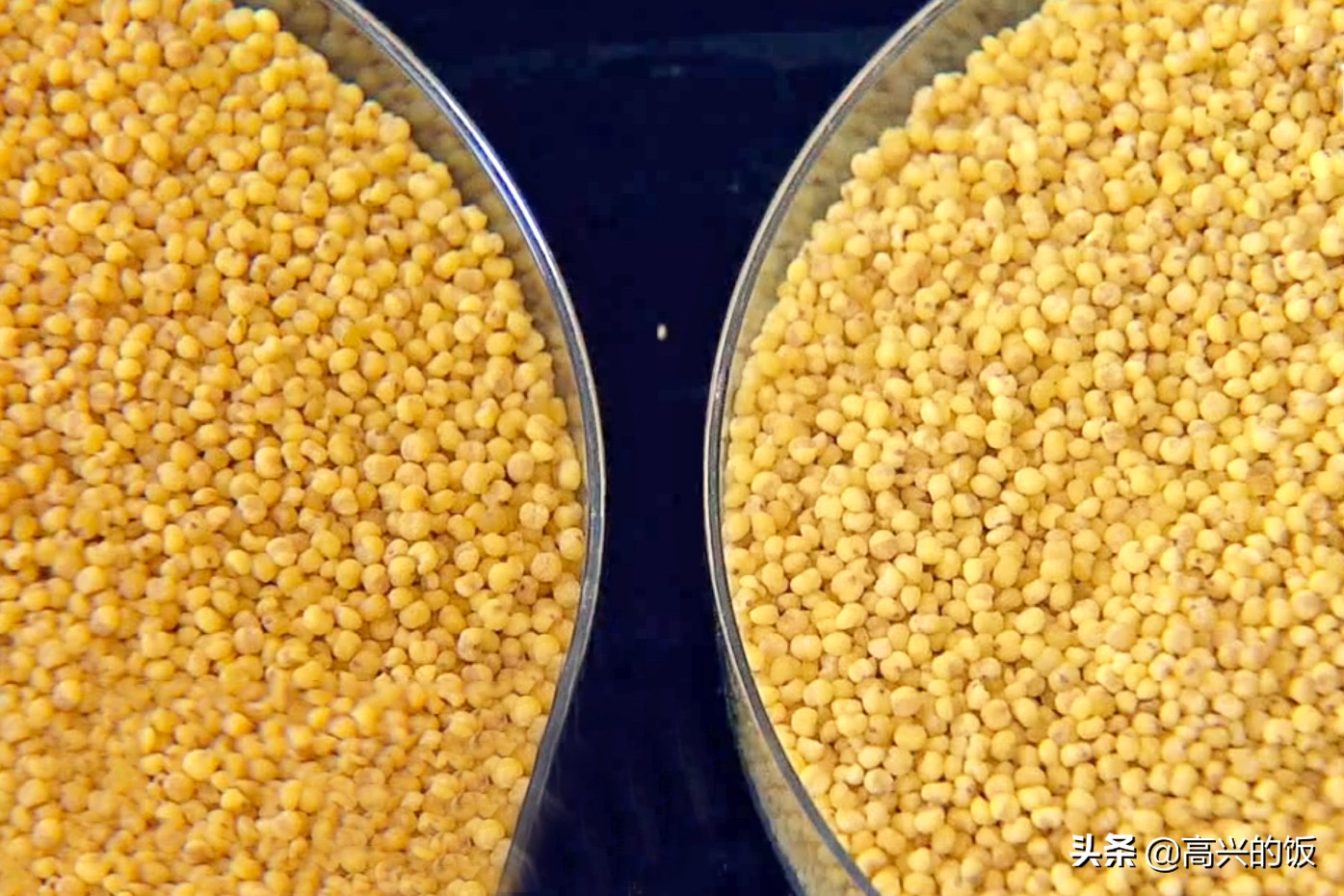 买小米怎么挑选才正确,小米哪些东西不建议购买