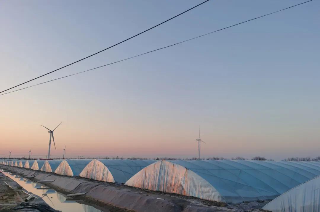 2019南美白对虾养殖形势,2021南美白对虾病害