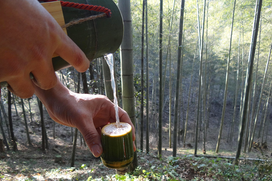 竹子里的酒是不是骗人的,竹子酒骗局揭秘视频