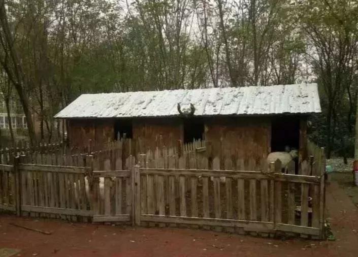 想见你西南政法大学,去河北政法职业学院