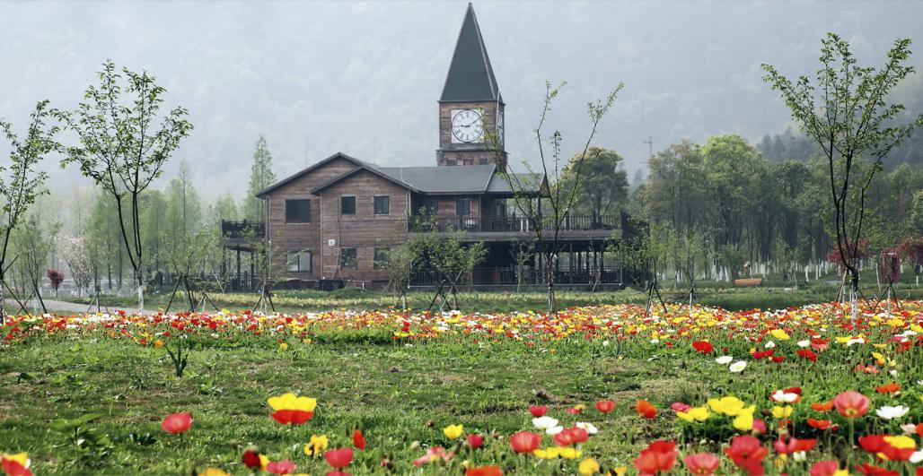 今年录取分数暴冷的三所大学,中国最扎心的211大学