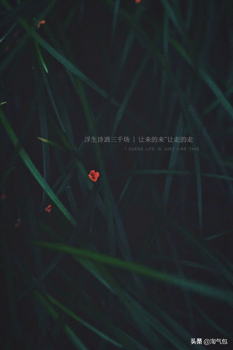 秋分愿生活恰如其分,人生恰如秋分生活恰如其分