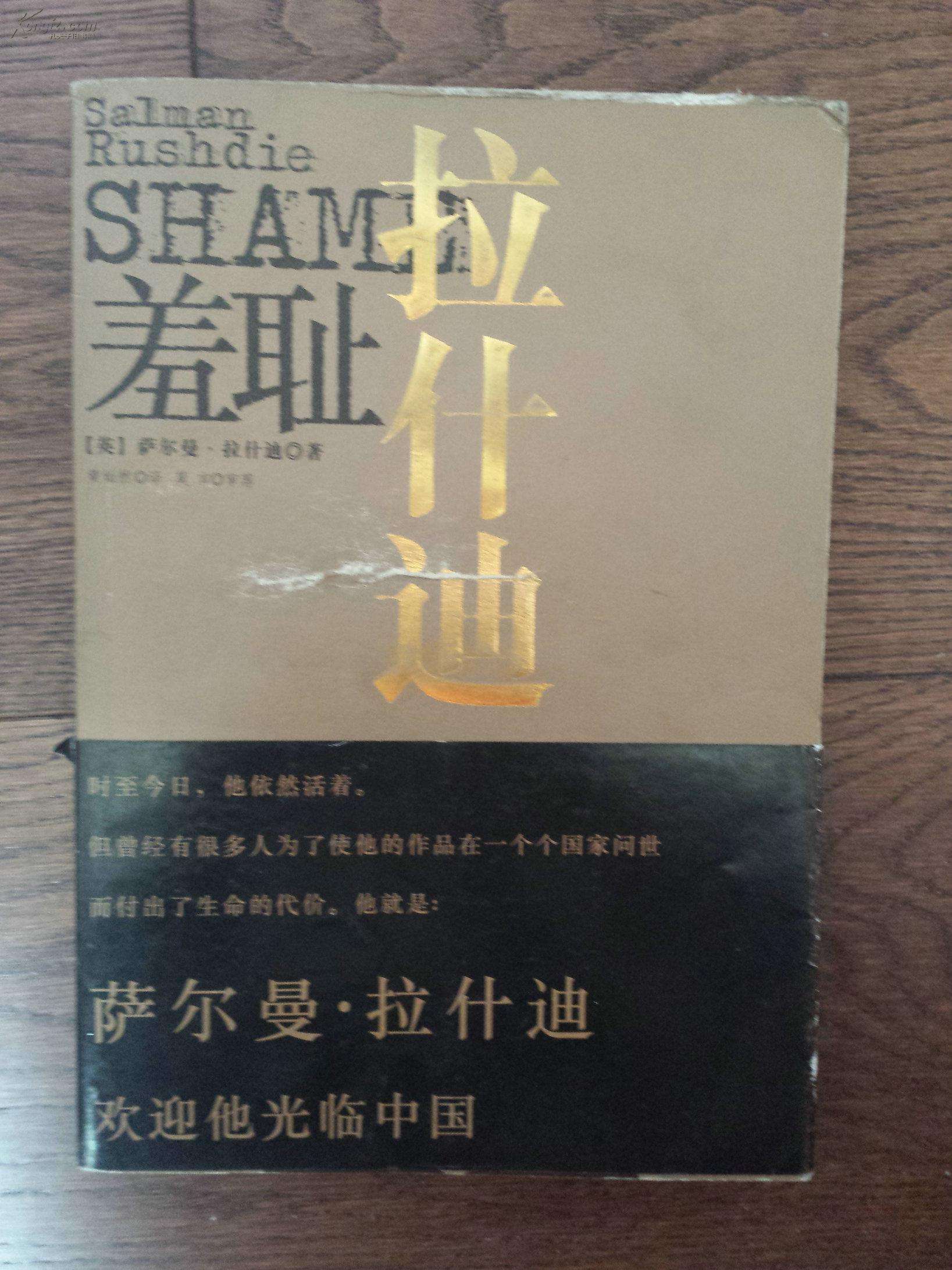 专访拉什迪：在写作上，我是历史的“混血儿”